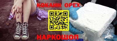 крисы Камышлов