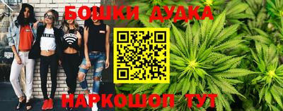 крисы Камышлов