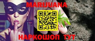 крисы Камышлов