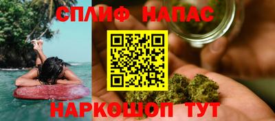 крисы Камышлов