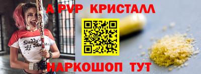 крисы Камышлов