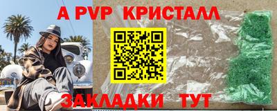 крисы Камышлов