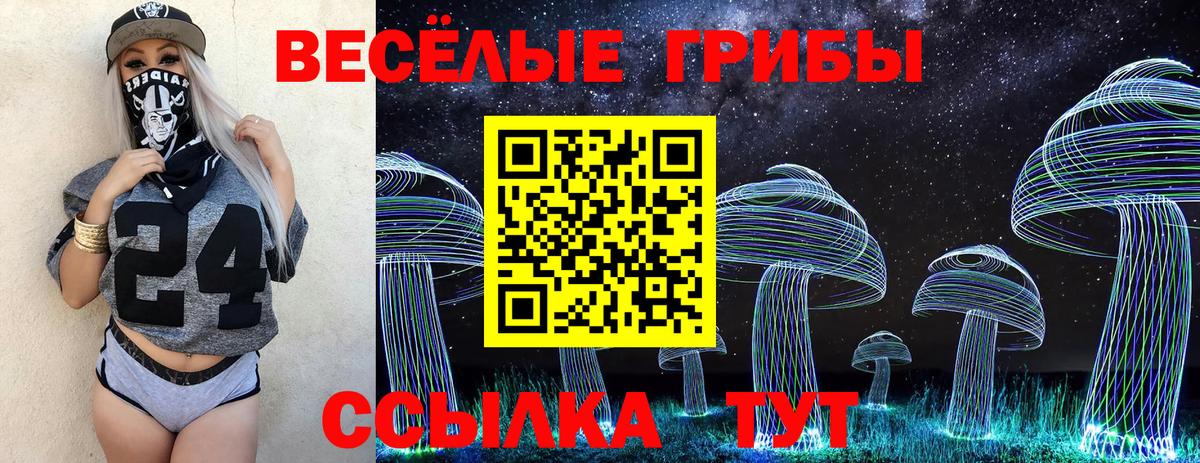 Псилоцибиновые грибы MAGIC MUSHROOMS Углич